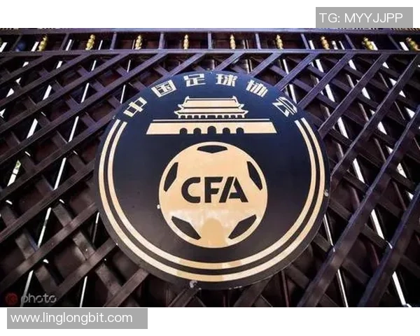 北京网球队灵活性分析与表现评估的综合研究报告