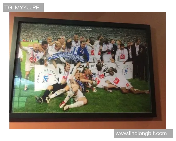 南湖足球明星阵容全景展示及精彩瞬间回顾