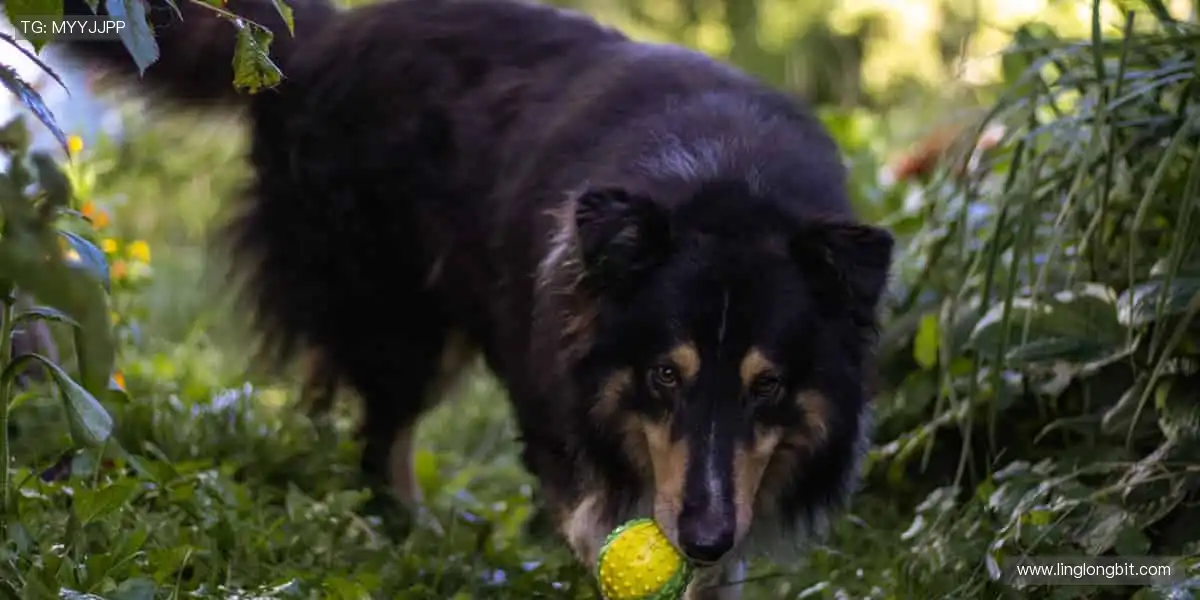 赛事直播，实时互动，与全球球迷同频狂欢！💬🎉